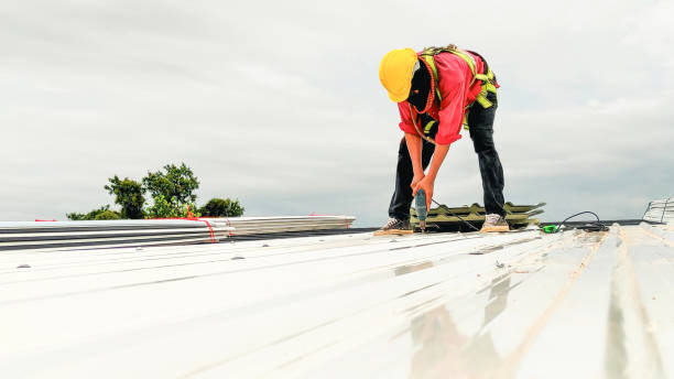 Best Asphalt Shingles Roofing  in Strum, WI
