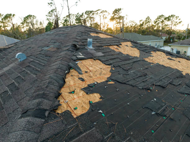Best Asphalt Shingles Roofing  in Strum, WI