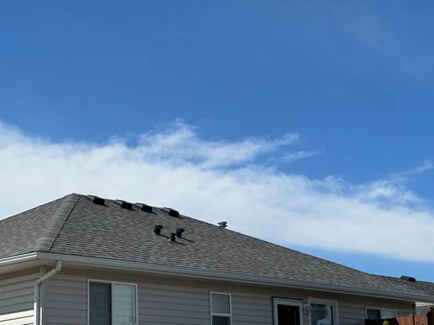 Best Emergency Roof Repair  in Strum, WI